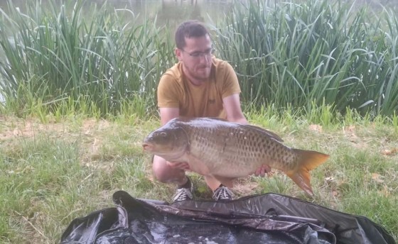 Carpe Commune par Fab
